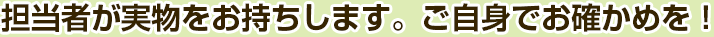 実物