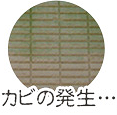 カビの発生